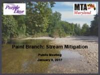 Preview of Paint Branch Stream Restoration Presentation